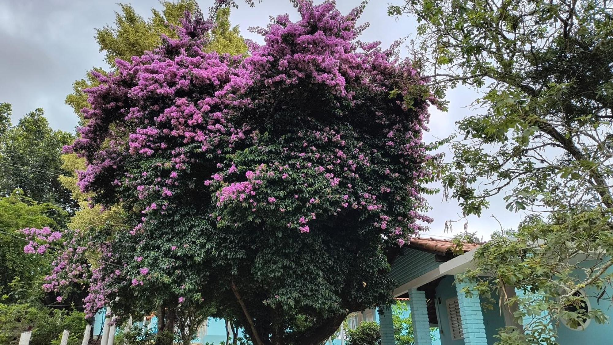 ホテル Pousada Recanto Do Sossego São Tomé das Letras エクステリア 写真