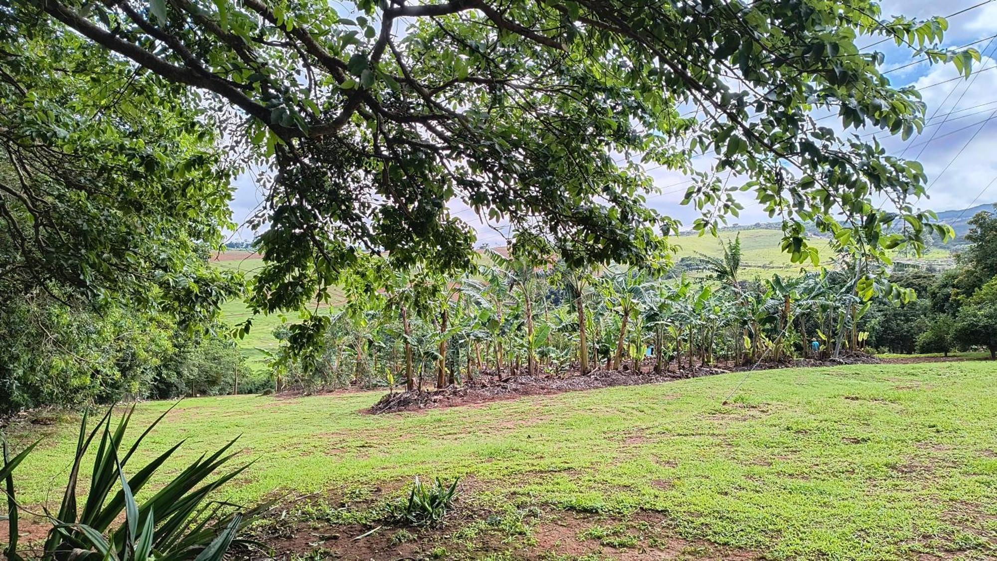 ホテル Pousada Recanto Do Sossego São Tomé das Letras エクステリア 写真