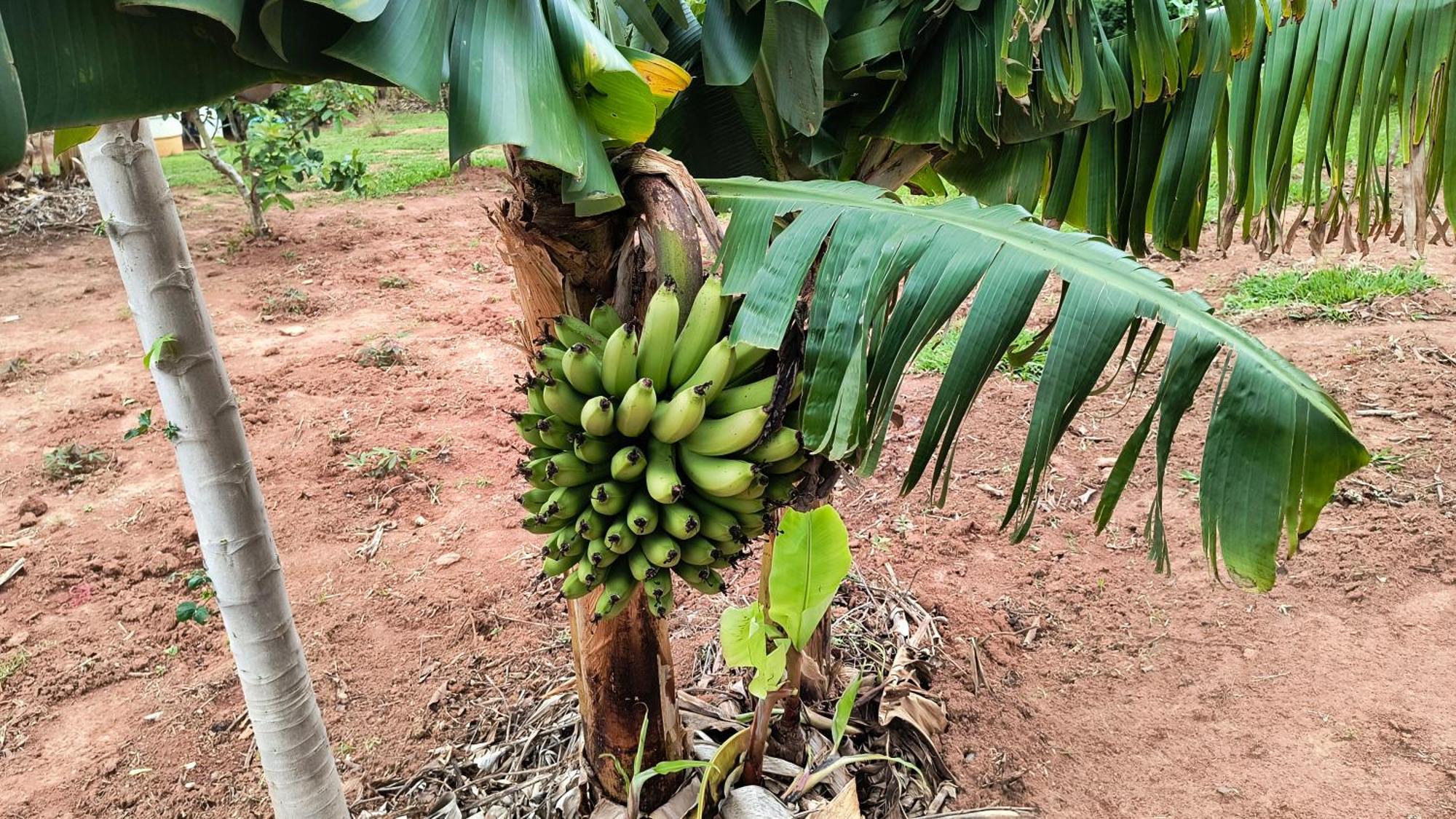 ホテル Pousada Recanto Do Sossego São Tomé das Letras エクステリア 写真