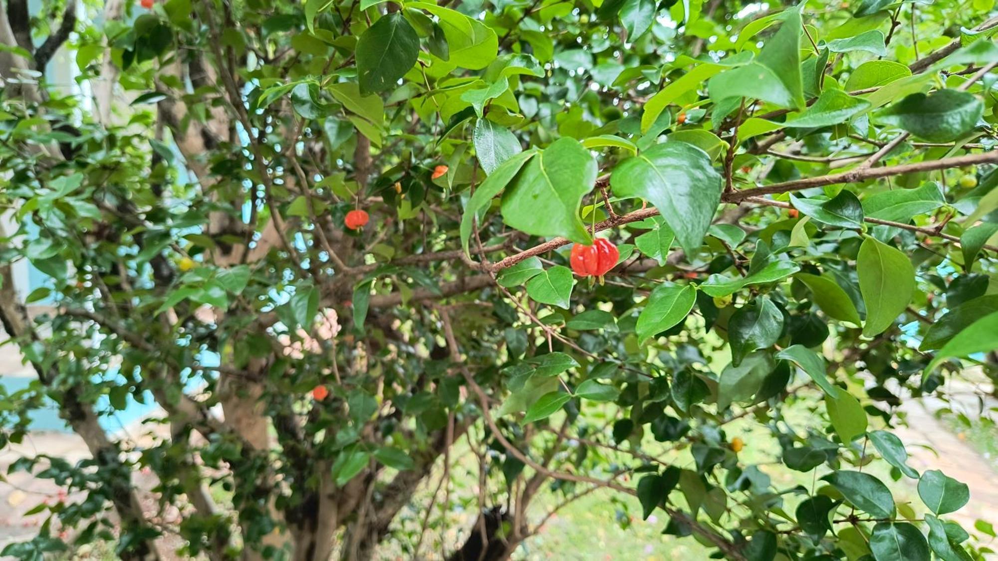 ホテル Pousada Recanto Do Sossego São Tomé das Letras エクステリア 写真