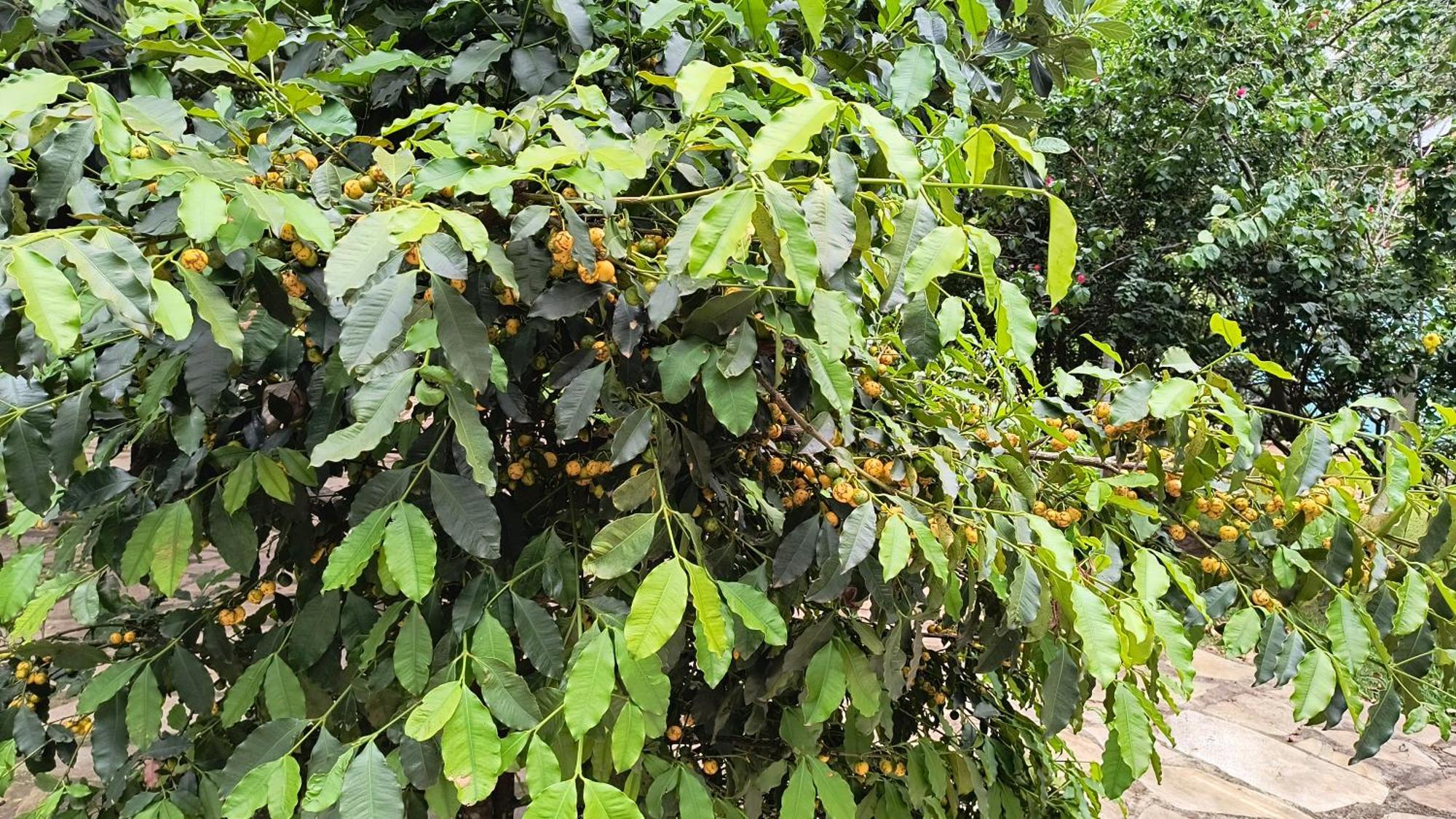 ホテル Pousada Recanto Do Sossego São Tomé das Letras エクステリア 写真