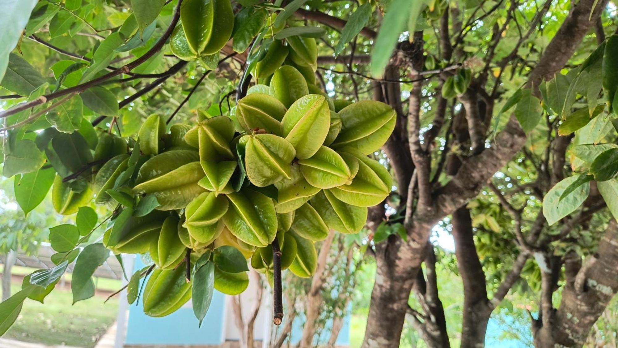 ホテル Pousada Recanto Do Sossego São Tomé das Letras エクステリア 写真